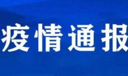 句容电视台爆料新闻视频,最新爆料新闻视频内容揭秘